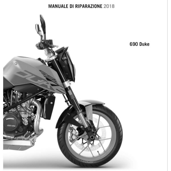2018690DukeITA